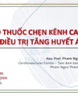 P3 - 3 - PGS Vinh - Vai trò thuốc chẹn kênh calci mới trong điều trị tăng huyết áp.pdf