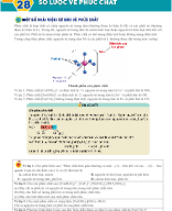 Bài 28. Sơ lược về phức chất - HS.docx