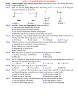 3009. Sở Vĩnh Phúc mã 203 (giải).pdf