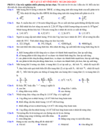 3010. Sở Vĩnh Phúc mã 204 (giải).pdf