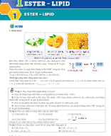 Bài 1. Ester - Lipid (Bản học sinh).docx