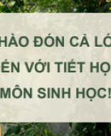 Bài 19. Các bằng chứng tiến hoá.pdf