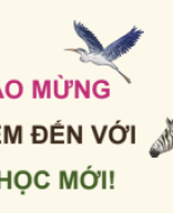 Bài 26. Quần xã sinh vật.pdf