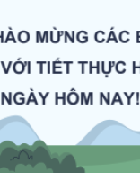 Bài 27. Thực hành Tìm hiểu cấu trúc dinh dưỡng của quần xã trong tự nhiên.pdf