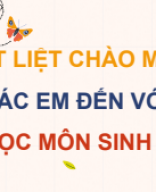 Bài 28. Hệ sinh thái.pdf