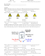 ĐỀ VIP 3 - PHÁT TRIỂN ĐỀ MINH HỌA MÔN VẬT LÝ 2025 -N1.docx