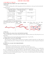 CHỦ ĐỀ 5. POLYMER (File HS).docx