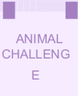 Animal Quiz Presentation in Purple Playful Style.pptx