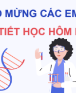 Bài 42. Thực hành Quan sát tiêu bản nhiễm sắc thể.pdf