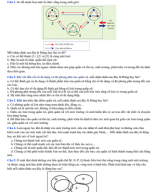 PHẦN II TRẮC NGHIỆM ĐÚNG SAI SINH THÁI HỌC QUẦN XÃ - HS.pdf