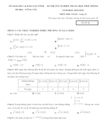 19. Sở GD & ĐT Bà Rịa - Vũng Tàu (Thi thử TN THPT 2025 môn Toán).docx
