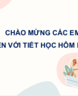 Bài 23 Trao đổi khí ở sinh vật_S.pptx