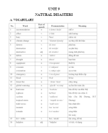 9.GV - UNIT 9. NATURAL DISASTERS.docx