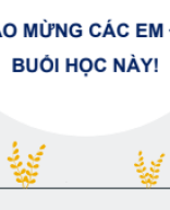 CĐ 3_Bài 6. Mô tả đặc trưng độ phân tán dữ liệu.pdf