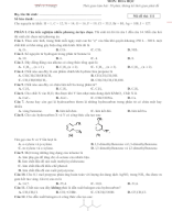 Lớp 11. Đề giữa kì 2 (Đề số 1).docx