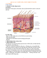 BÀI 36. DA VÀ ĐIỀU HÒA THÂN NHIỆT Ở NGƯỜI.pdf