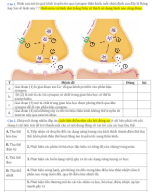 CÂU HỎI ĐÚNG SAI VÀ NỐI NHIỀU ĐÁP ÁN CẢM ỨNG ĐV.docx