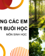 BÀI 19. SỰ PHÁT SINH, PHÁT TRIỂN SỰ SỐNG TRÊN TRÁI ĐẤT.pdf