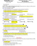 10 DE GIUA KY 2 HOA 11 KIEU MOI(4 DANG).DTT-giai.pdf