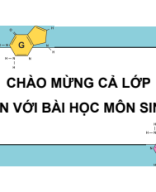 Bài 3. Công nghệ gene và thành tựu.pdf