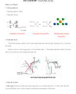 Chuyên đề 17 - Sulfuric acid.docx