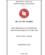 Đào Hoàng Nam - 822422 - TCNH 29C.pdf