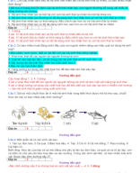 PHẦN III TRẢ LỜI NGẮN HỆ SINH THÁI PHẦN 1 - GV.docx