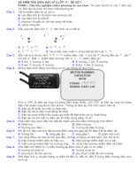 VL11 - GK2 - 2425 - ĐỀ 1.docx