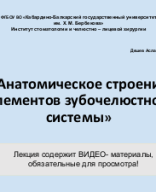 Анатомическое строение элементов зубочелюстной системы (1).pptx