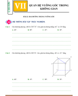 TOAN-11_C7_B22.2_HAI-DUONG-THANG-VUONG-GOC_TN_VỞ-BT.pdf