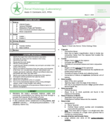 MOD11-1.1-Renal Histology (Laboratory).pdf