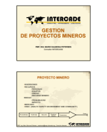 Gestion de Proyectos mineros.pdf