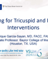 03. VSUM6 - Imaging for Tricuspid and Mitral Interventions - Garcia-Sayan.pdf