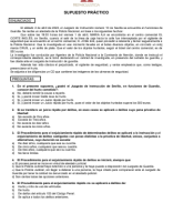 PRACTICO J.RAPIDO HURTO y DELITOS LEVES. enunciado.pdf