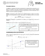 CAP19 - Pauta Guía Materia Vectores 2D.pdf