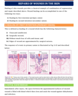 6. REPAIRS OF WOUNDS IN THE SKIN.pdf