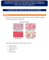 3. ELEMENTARY TISSUES OF THE HUMAN BODY.pdf