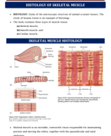 54. HISTOLOGY OF SKELETAL MUSCLE.pdf