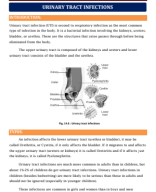 36. URINARY TRACT INFECTIONS.pdf