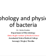 2. Morphology of bacteria.pptx