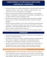 16. CHEMOTHERAPY OF PROTOZOAL INFECTIONS (AMOEBIASIS, GIARDIASIS).pdf