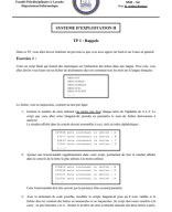 +TP COURS SYSTEME D’EXPLOITATION II FPL LARACH.pdf