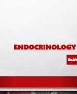 ENDOcrine 2 day.pdf