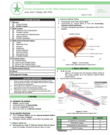 MOD13-3-Gross Anatomy of the Male Reproductive System.pdf