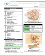 MOD13-6-Gross Anatomy of the Female Reproductive System.pdf