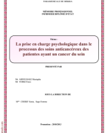 296 La prise en charge psychologique dans le processus des soins anticancéreux des patientes ayant un cancer du sein.pdf