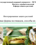 ИЗСР ПЗ  занятие 5. преп формы.pdf