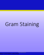 GRAM STAINING PPT.pdf