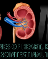 Part 4 Hormones of Heart, Kidney and Mechanism of Hormone Action.pdf