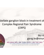 3. CRPS VSUM6 BuiVanGiang.pdf